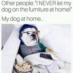 dubstepsucks