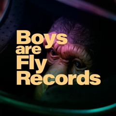 Boys are Fly Records
