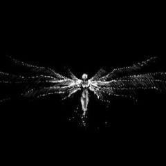 муцакибаевичь