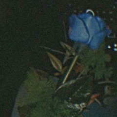 Bad Salighe ~ Music-Fa.Com.mp3