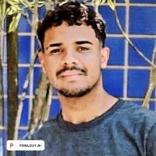 Paulo Eduardo Santiago Pereira de Souza’s avatar