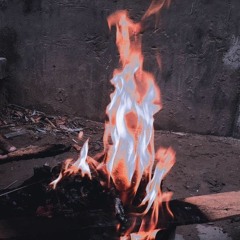 Talha Ali