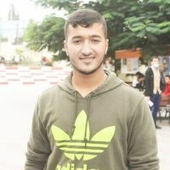 Hassan A AlAthamna