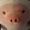 A random unspecified Pig