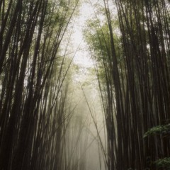 散靈柒 suànn lîng tshit