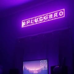 Pluggbro