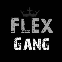 FLEX GANG OFICIAL