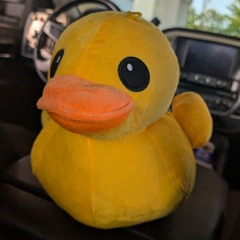 RetroQuack