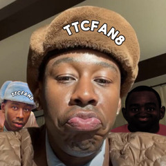 TTCFan8