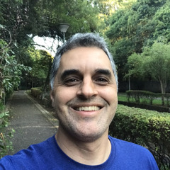 Leandro Gomes Vineyard