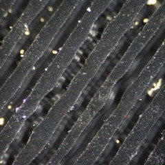 Bu
