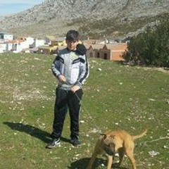 Francisco Bastida Sanchez