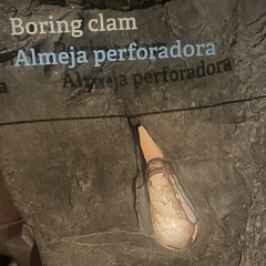 Parkretura