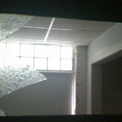 lingering light