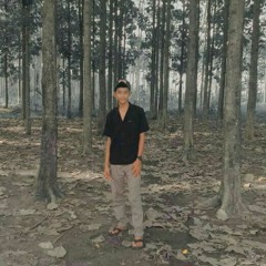 Pratama_Mix