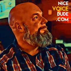 Nice Voice Dude