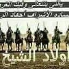 ميدو ميدو المصري