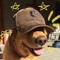 ✰AMPDOG✰