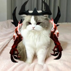 алкашка деревяшка