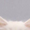 Saya˙˚