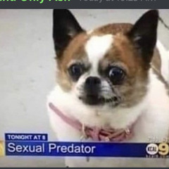 toto
