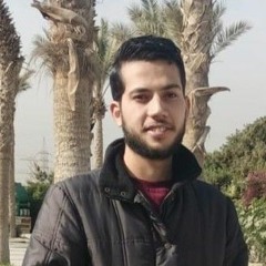 Mohamed Tarek