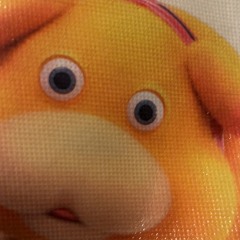 Morb