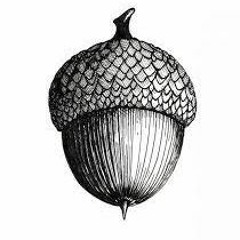 The Quercus Collective by Allison Clark