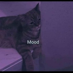 FREEDA