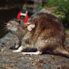 Ffah the Rat