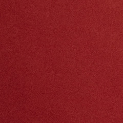 tobi