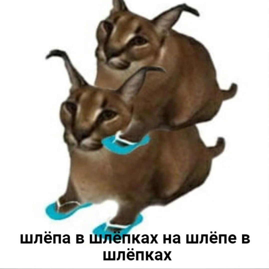 я задолбался.
