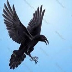 Crowsblues