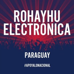 Rohayhu Electronica PY