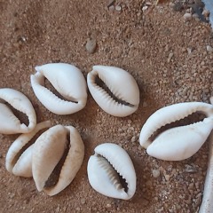 Mazarajab