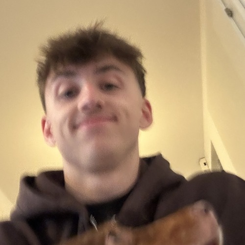 Ed Sheeran - Sapphire (DJ Nylo Remix)