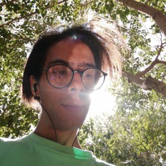 Davood Ardeshiri