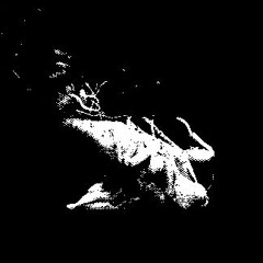 Hreinn Noise Project