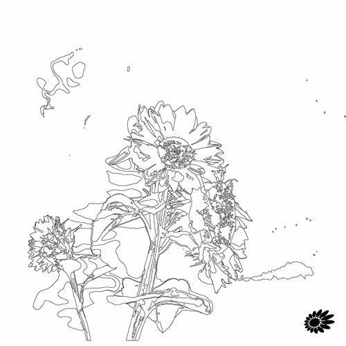 SunflowerSound’s avatar