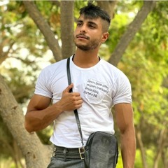 Reza Mahini