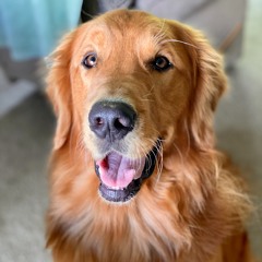 Luke Mayernik (official)