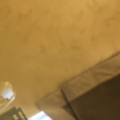 scccccchl.q