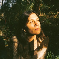 Oso Blanco (Boveda Celeste).WMA