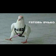n.zajigaa