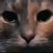 kys