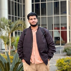 Ahmed Hassan Mohammed