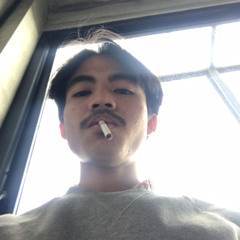 Stream Robert 