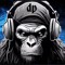 dj don pappa