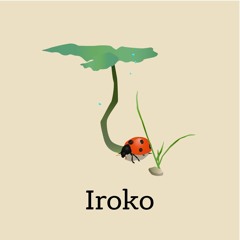 Iroko