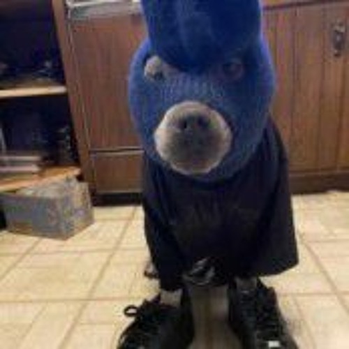 DaBzz x PopEBG x CheckBTG - IVERSON